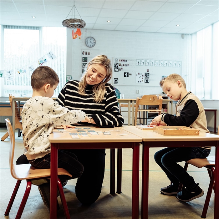 Systeembegeleiding
